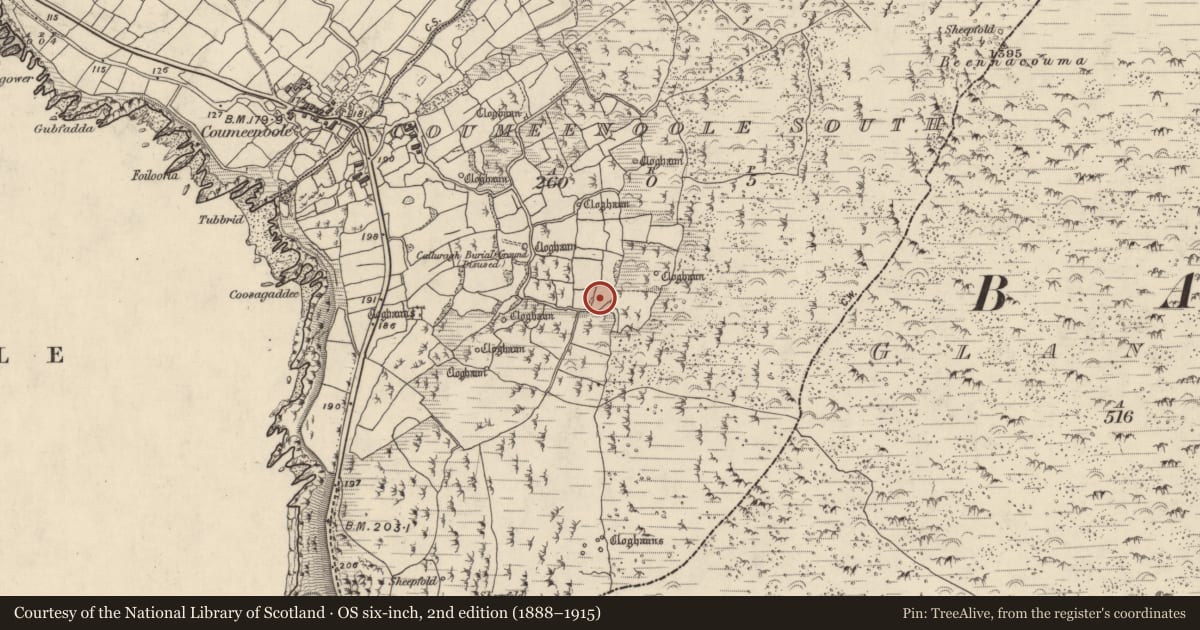 Ordnance Survey six-inch map, 2nd edition (1888–1915) covering the location of Hut site, Com Dhíneol Theas, County Kerry, with a pin at the register's coordinates