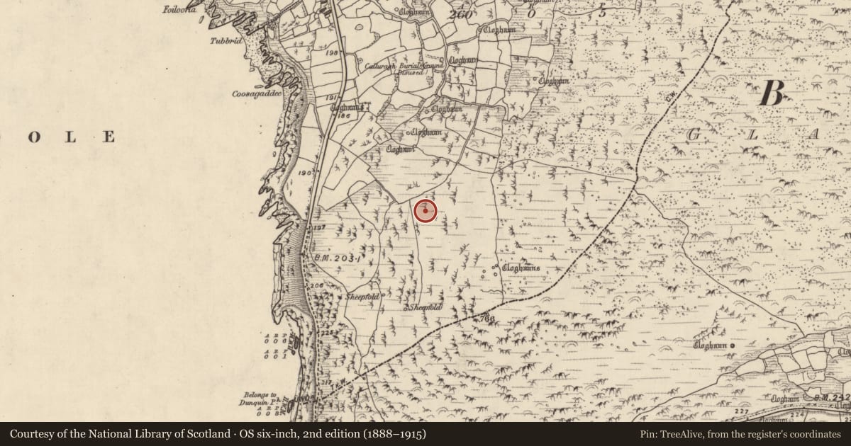Ordnance Survey six-inch map, 2nd edition (1888–1915) covering the location of Hut site, Com Dhíneol Theas, County Kerry, with a pin at the register's coordinates