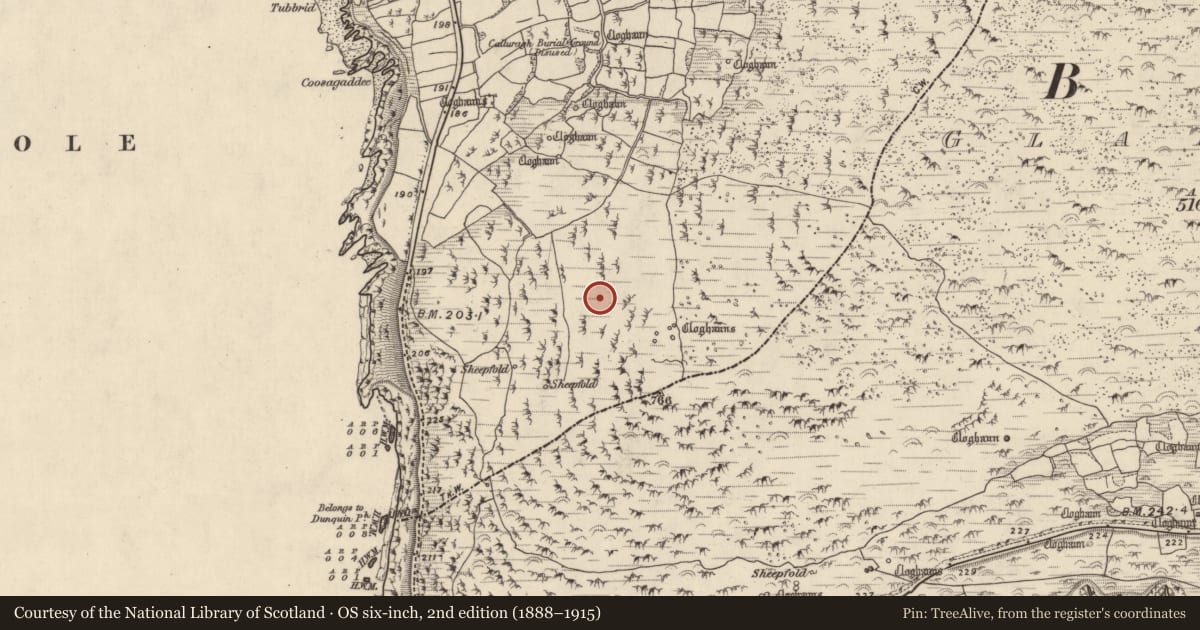 Ordnance Survey six-inch map, 2nd edition (1888–1915) covering the location of Clochan, Com Dhíneol Theas, County Kerry, with a pin at the register's coordinates