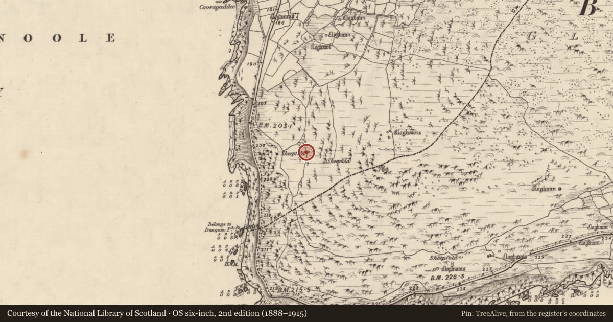Ordnance Survey six-inch map, 2nd edition (1888–1915) covering the location of Hut site, Com Dhíneol Theas, County Kerry, with a pin at the register's coordinates