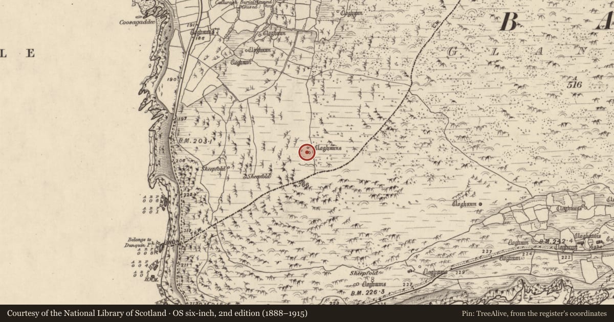 Ordnance Survey six-inch map, 2nd edition (1888–1915) covering the location of Hut site, Com Dhíneol Theas, County Kerry, with a pin at the register's coordinates