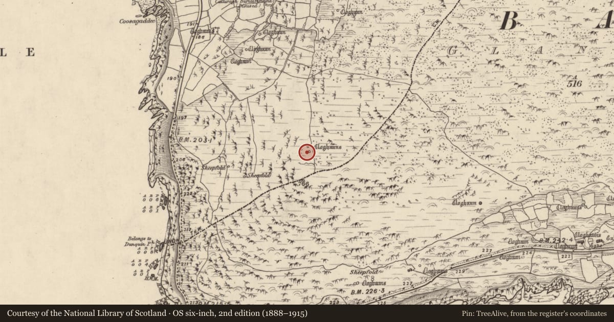Ordnance Survey six-inch map, 2nd edition (1888–1915) covering the location of Souterrain, Com Dhíneol Theas, County Kerry, with a pin at the register's coordinates