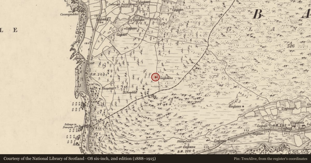 Ordnance Survey six-inch map, 2nd edition (1888–1915) covering the location of Hut site, Com Dhíneol Theas, County Kerry, with a pin at the register's coordinates