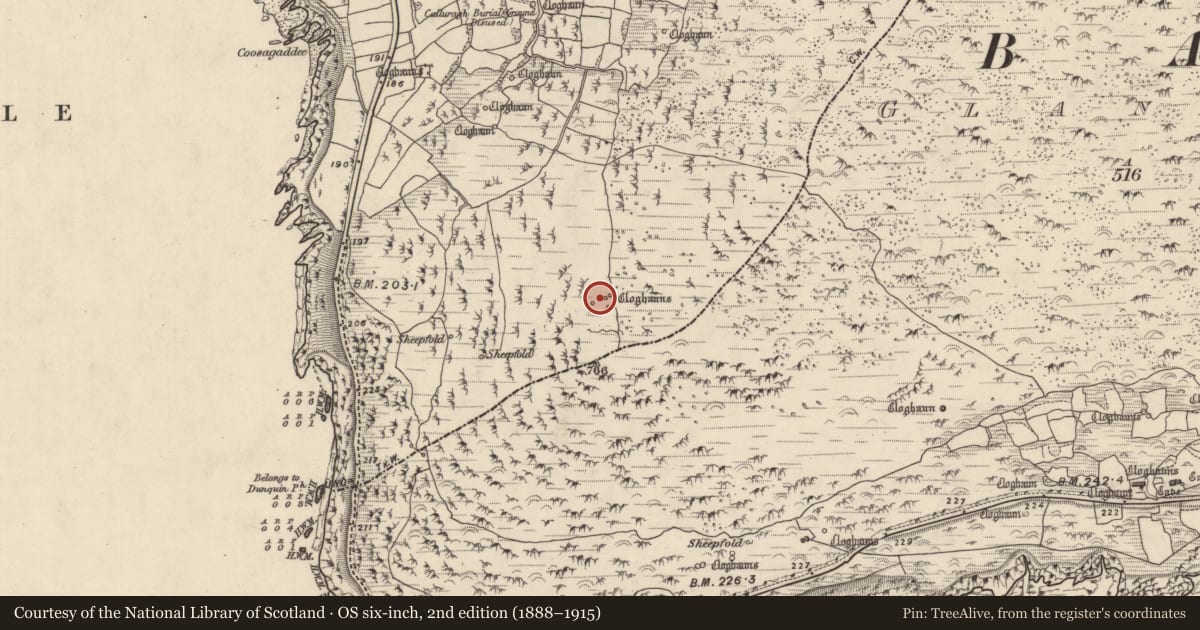 Ordnance Survey six-inch map, 2nd edition (1888–1915) covering the location of Hut site, Com Dhíneol Theas, County Kerry, with a pin at the register's coordinates