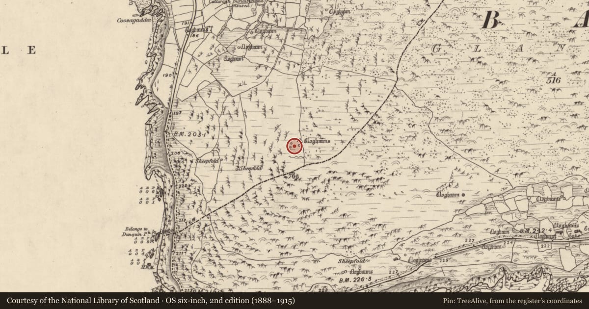 Ordnance Survey six-inch map, 2nd edition (1888–1915) covering the location of Hut site, Com Dhíneol Theas, County Kerry, with a pin at the register's coordinates
