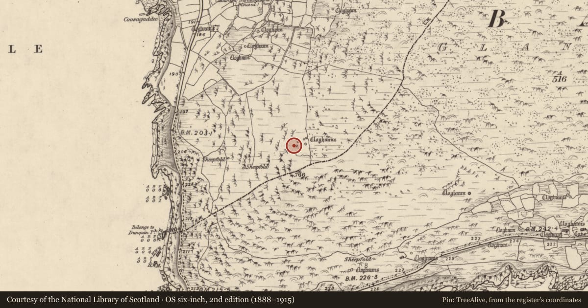 Ordnance Survey six-inch map, 2nd edition (1888–1915) covering the location of Hut site, Com Dhíneol Theas, County Kerry, with a pin at the register's coordinates