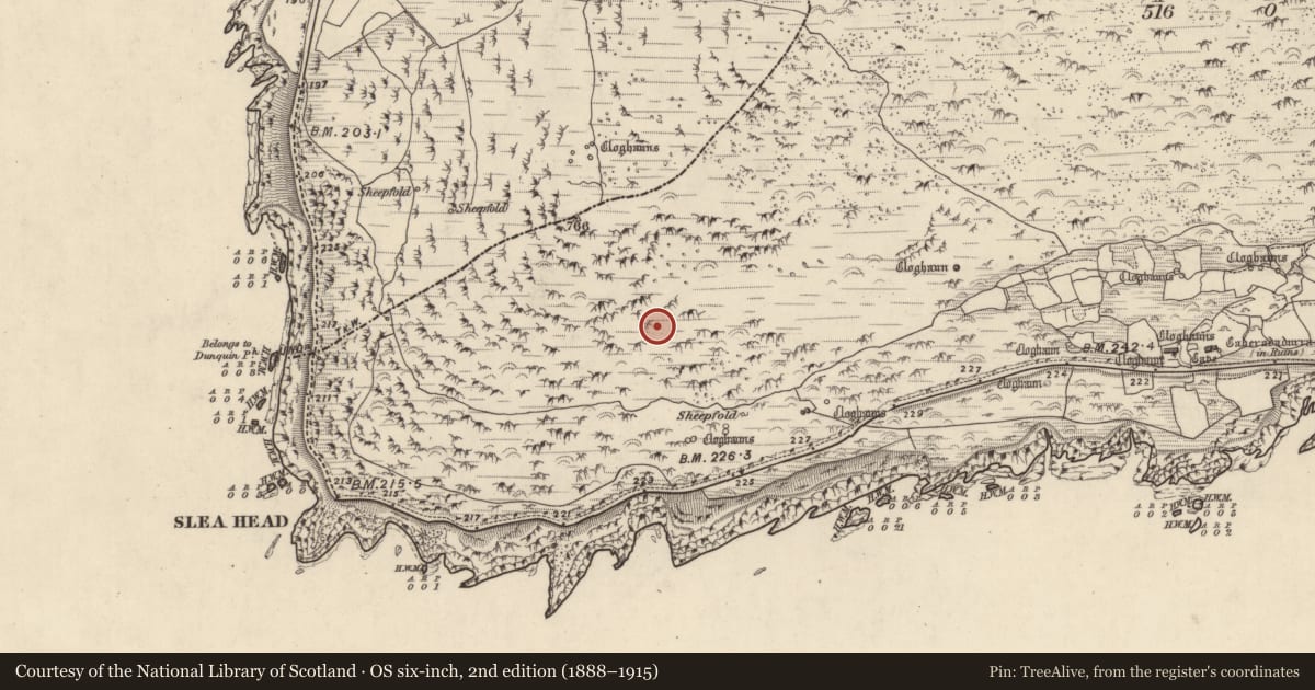 Ordnance Survey six-inch map, 2nd edition (1888–1915) covering the location of Hut site, Gleann Fán, County Kerry, with a pin at the register's coordinates