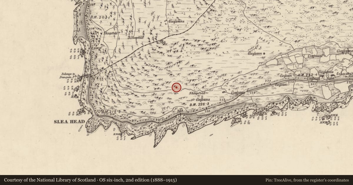 Ordnance Survey six-inch map, 2nd edition (1888–1915) covering the location of Hut site, Gleann Fán, County Kerry, with a pin at the register's coordinates