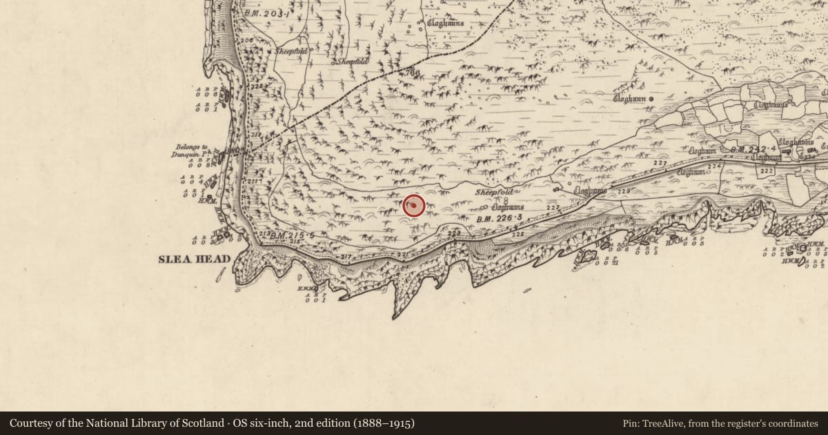Ordnance Survey six-inch map, 2nd edition (1888–1915) covering the location of Clochan, Gleann Fán, County Kerry, with a pin at the register's coordinates