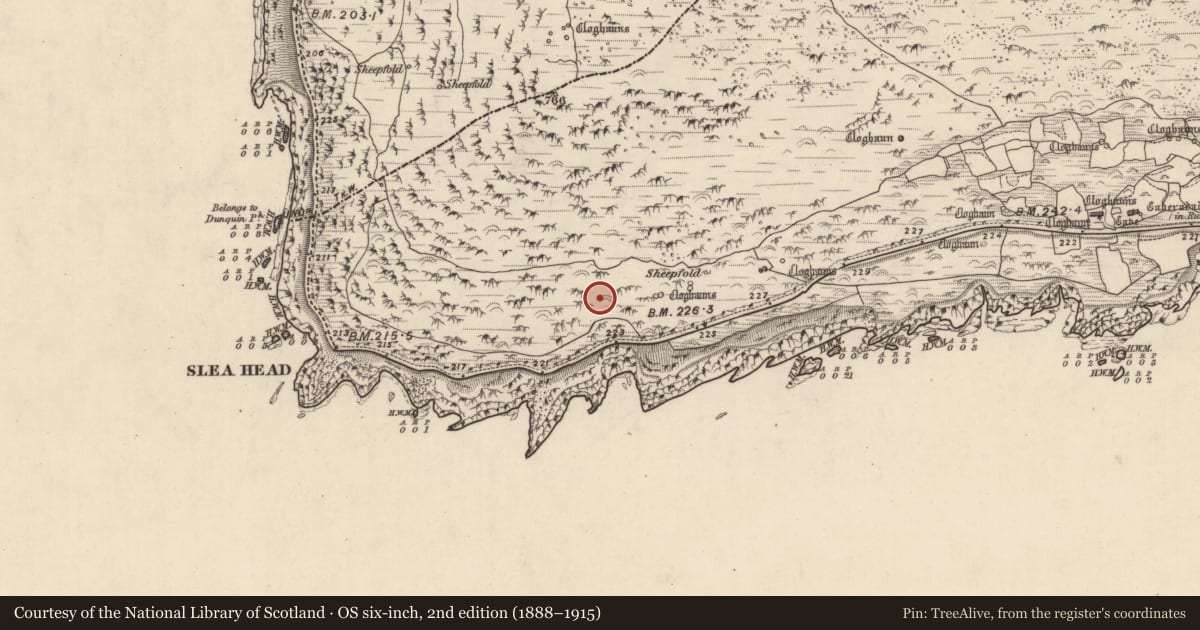 Ordnance Survey six-inch map, 2nd edition (1888–1915) covering the location of Clochan, Gleann Fán, County Kerry, with a pin at the register's coordinates