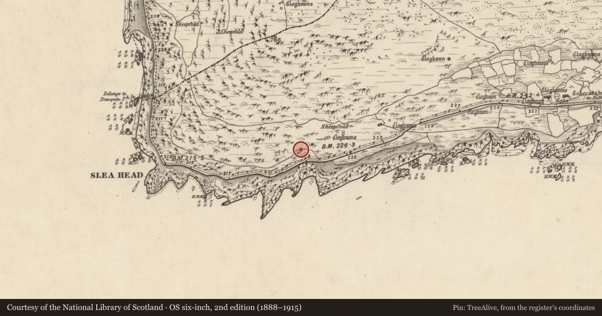 Ordnance Survey six-inch map, 2nd edition (1888–1915) covering the location of Clochan, Gleann Fán, County Kerry, with a pin at the register's coordinates