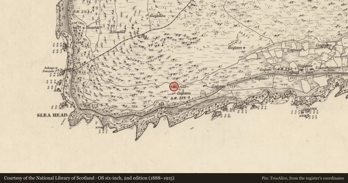 Ordnance Survey six-inch map, 2nd edition (1888–1915) covering the location of Clochan, Gleann Fán, County Kerry, with a pin at the register's coordinates