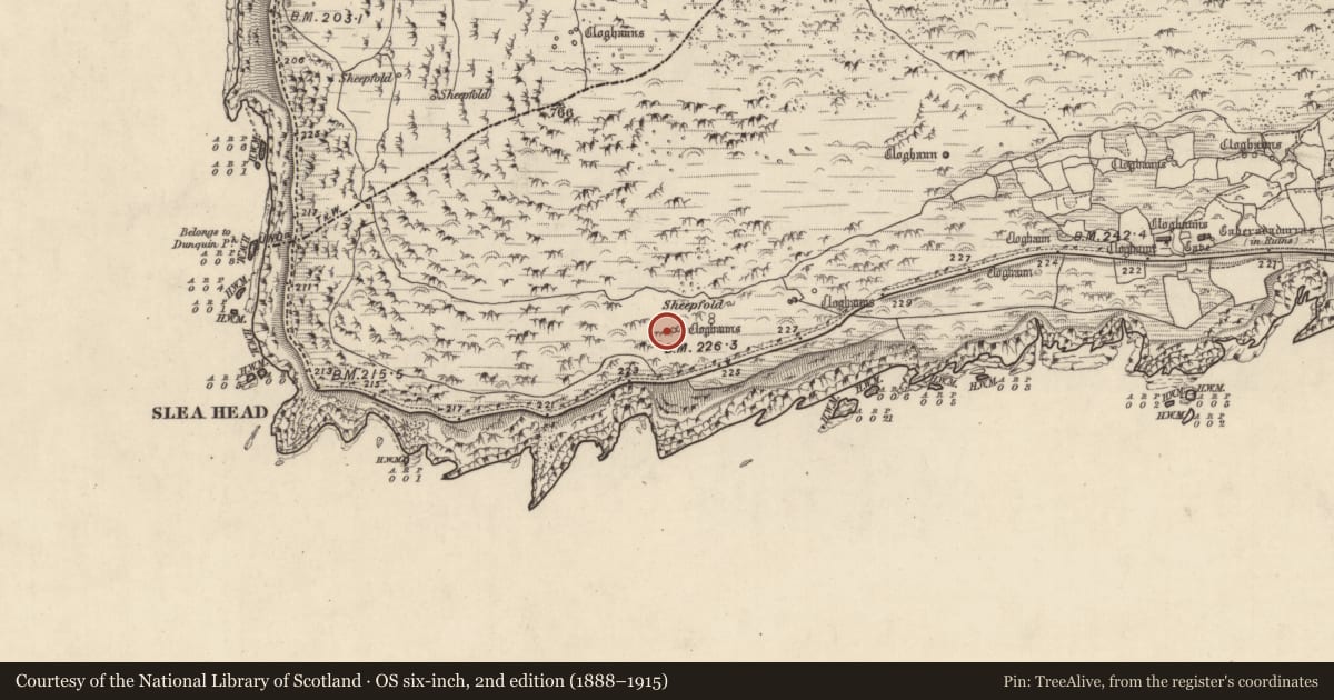 Ordnance Survey six-inch map, 2nd edition (1888–1915) covering the location of Hut site, Gleann Fán, County Kerry, with a pin at the register's coordinates