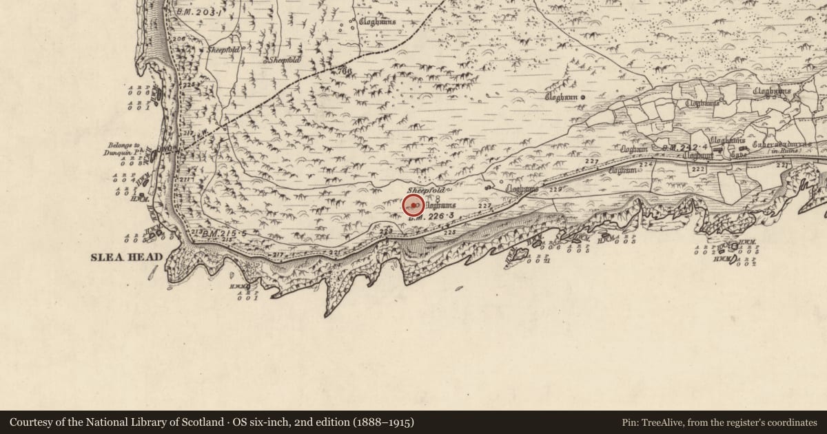 Ordnance Survey six-inch map, 2nd edition (1888–1915) covering the location of Hut site, Gleann Fán, County Kerry, with a pin at the register's coordinates