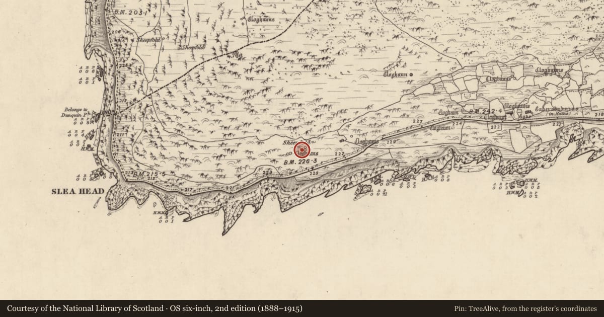 Ordnance Survey six-inch map, 2nd edition (1888–1915) covering the location of Hut site, Gleann Fán, County Kerry, with a pin at the register's coordinates