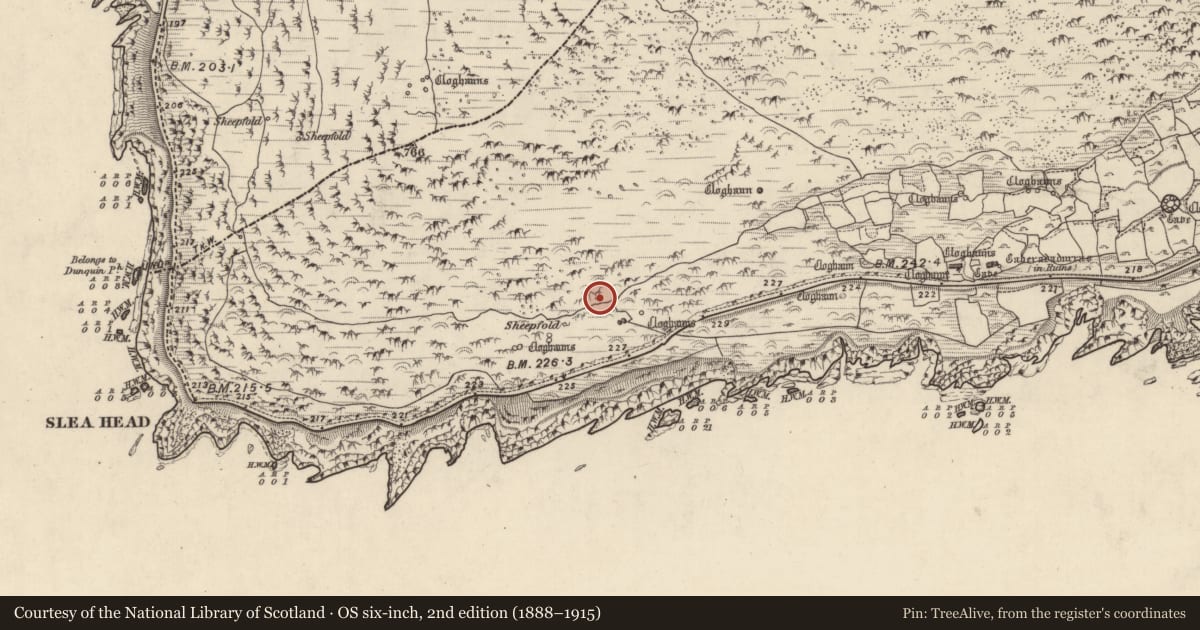 Ordnance Survey six-inch map, 2nd edition (1888–1915) covering the location of Hut site, Gleann Fán, County Kerry, with a pin at the register's coordinates