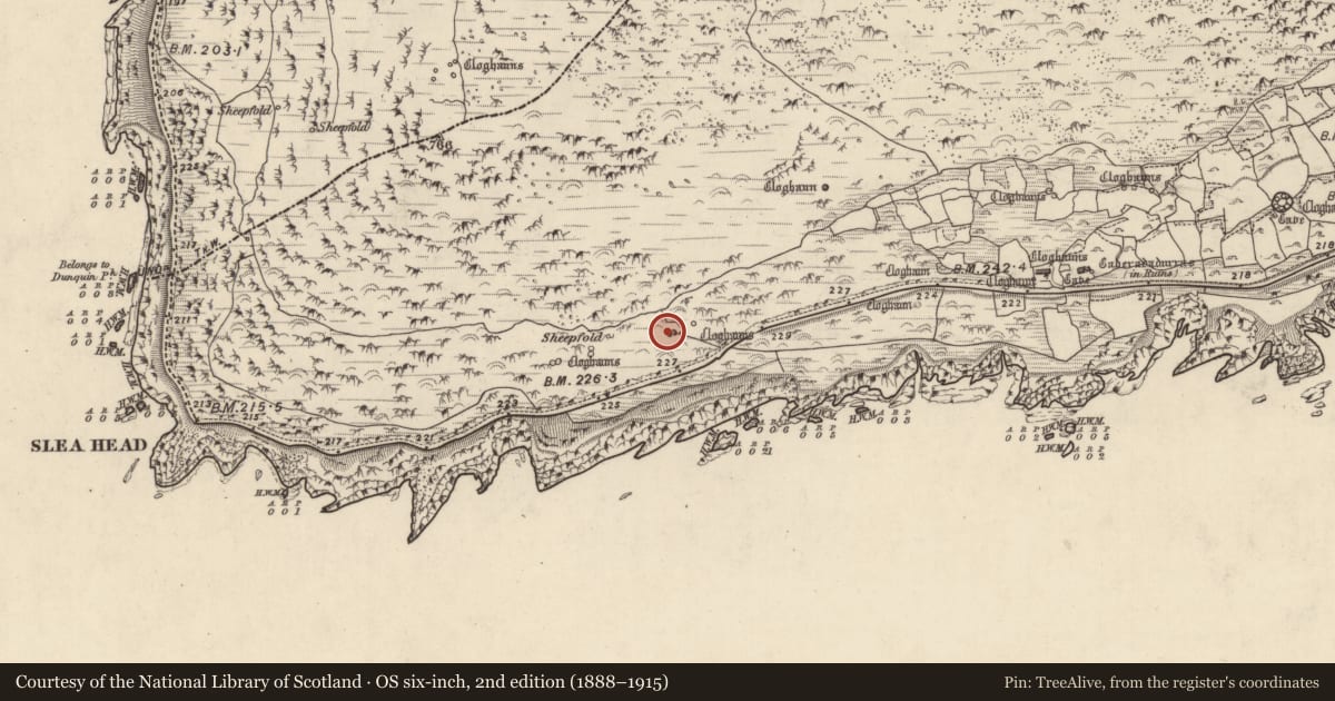 Ordnance Survey six-inch map, 2nd edition (1888–1915) covering the location of Hut site, Gleann Fán, County Kerry, with a pin at the register's coordinates
