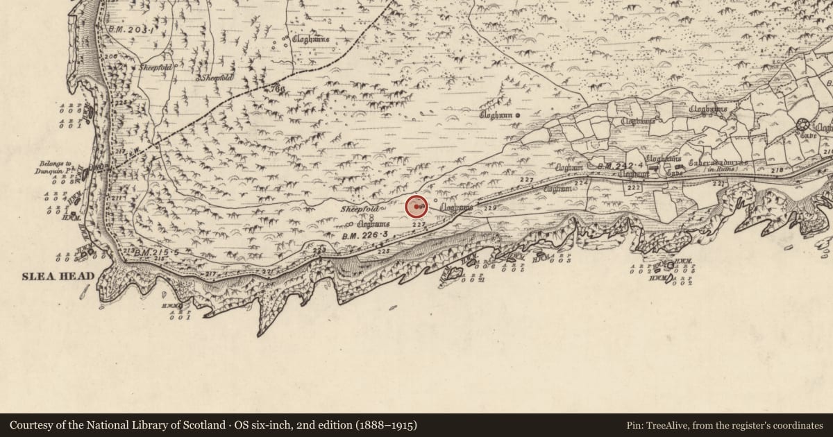 Ordnance Survey six-inch map, 2nd edition (1888–1915) covering the location of Hut site, Gleann Fán, County Kerry, with a pin at the register's coordinates