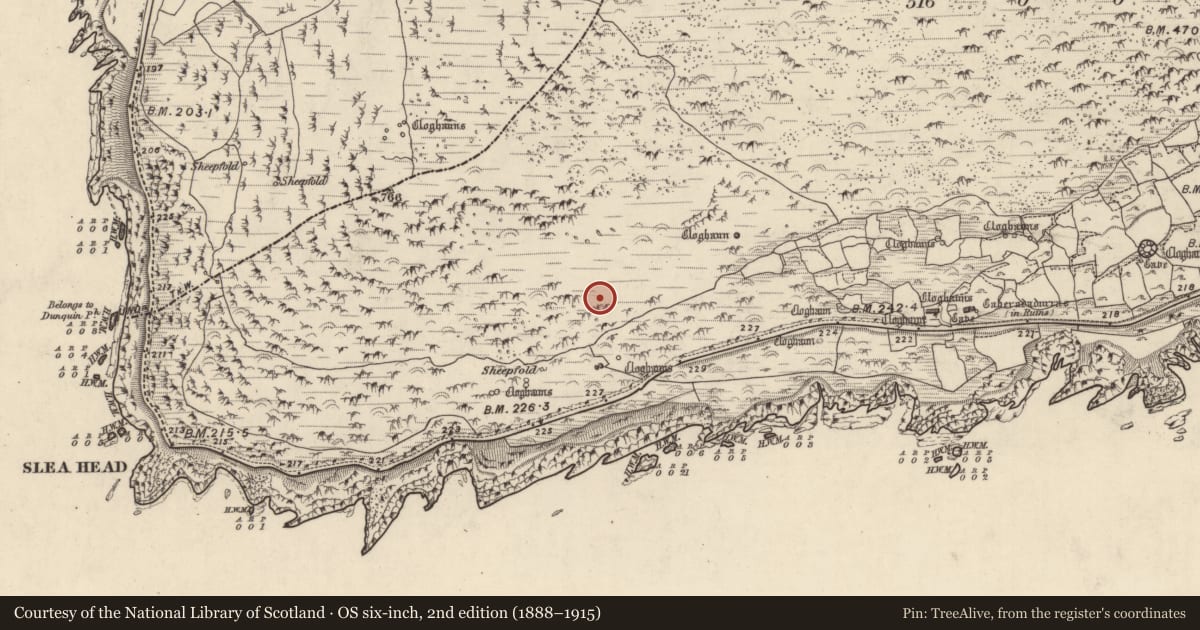 Ordnance Survey six-inch map, 2nd edition (1888–1915) covering the location of Hut site, Gleann Fán, County Kerry, with a pin at the register's coordinates