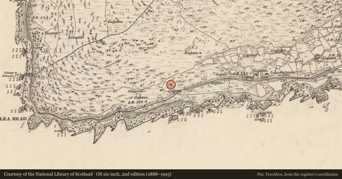 Ordnance Survey six-inch map, 2nd edition (1888–1915) covering the location of Hut site, Gleann Fán, County Kerry, with a pin at the register's coordinates