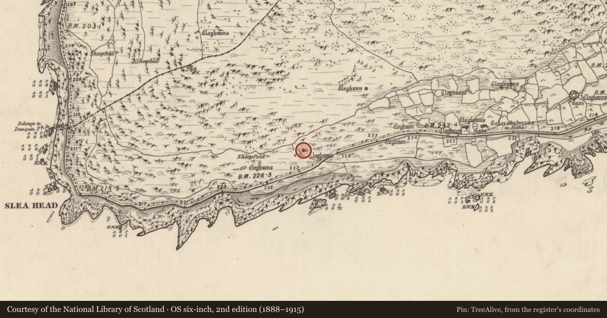 Ordnance Survey six-inch map, 2nd edition (1888–1915) covering the location of Hut site, Gleann Fán, County Kerry, with a pin at the register's coordinates
