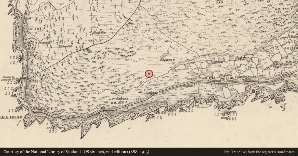 Ordnance Survey six-inch map, 2nd edition (1888–1915) covering the location of Hut site, Gleann Fán, County Kerry, with a pin at the register's coordinates