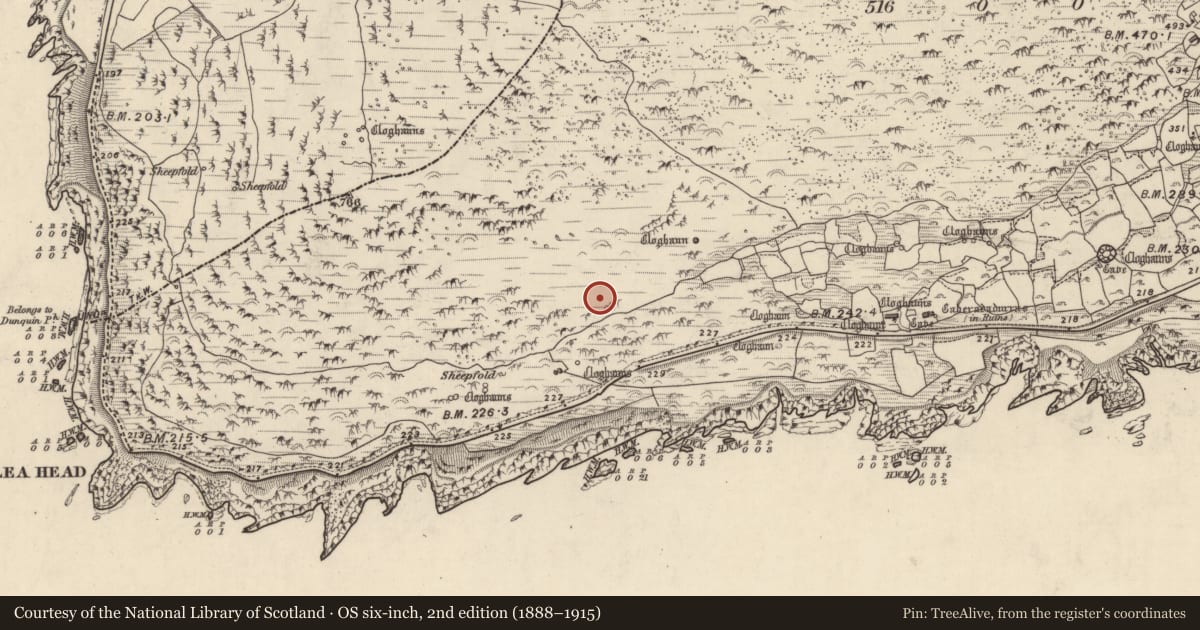 Ordnance Survey six-inch map, 2nd edition (1888–1915) covering the location of Hut site, Gleann Fán, County Kerry, with a pin at the register's coordinates