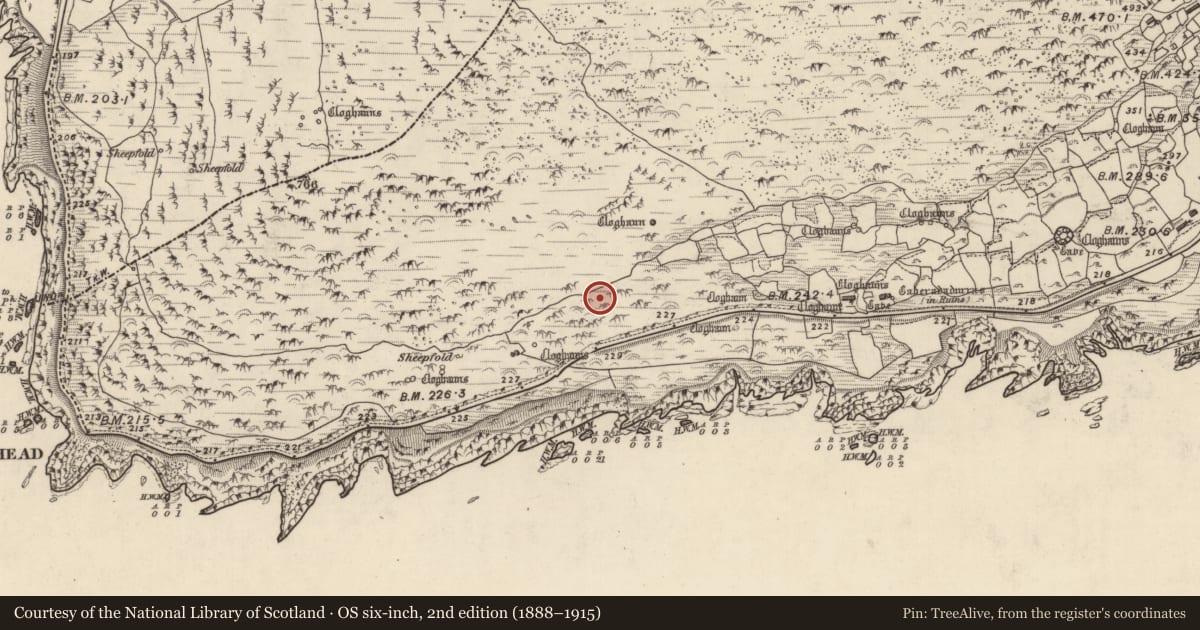 Ordnance Survey six-inch map, 2nd edition (1888–1915) covering the location of Clochan, Gleann Fán, County Kerry, with a pin at the register's coordinates