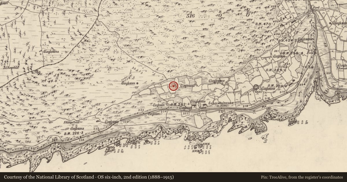 Ordnance Survey six-inch map, 2nd edition (1888–1915) covering the location of Clochan, Gleann Fán, County Kerry, with a pin at the register's coordinates
