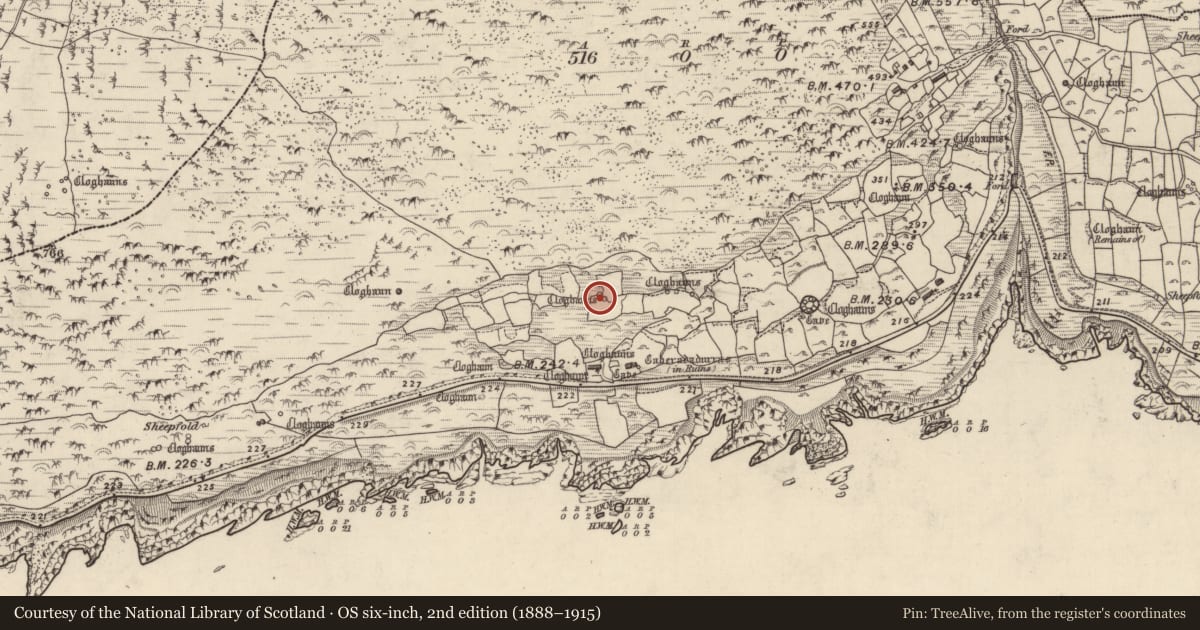 Ordnance Survey six-inch map, 2nd edition (1888–1915) covering the location of Hut site, Gleann Fán, County Kerry, with a pin at the register's coordinates