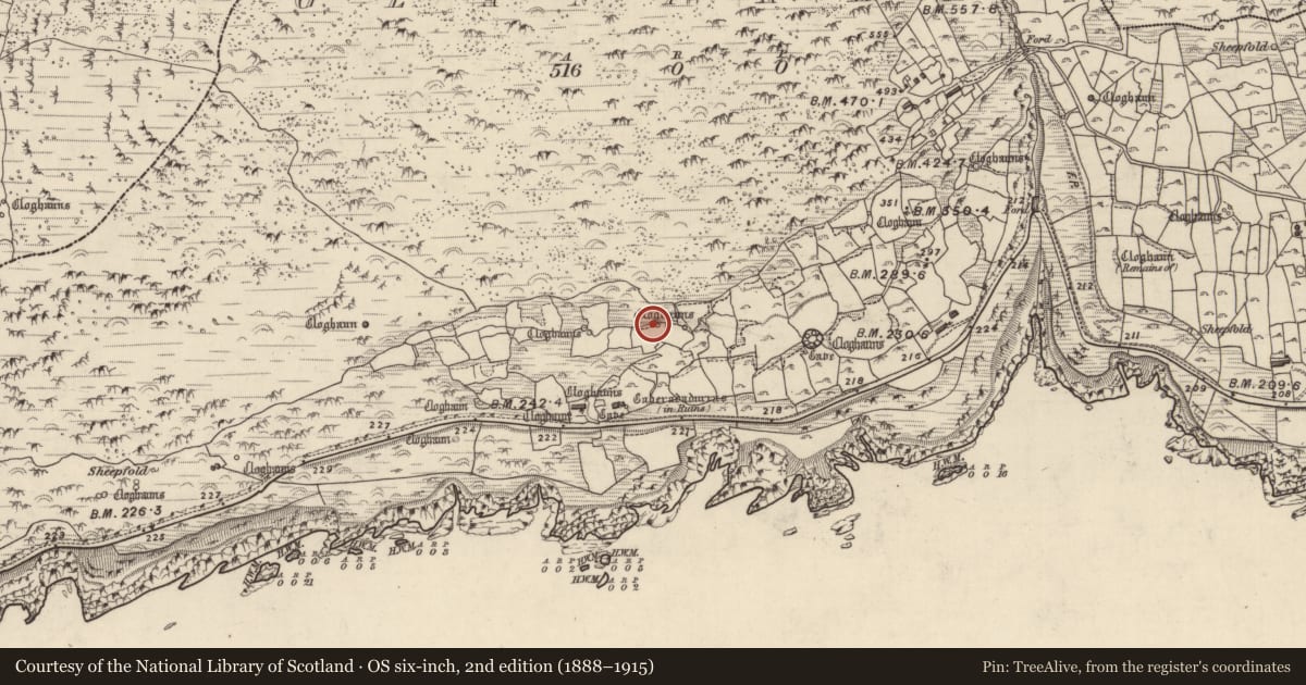 Ordnance Survey six-inch map, 2nd edition (1888–1915) covering the location of Clochan, Gleann Fán, County Kerry, with a pin at the register's coordinates