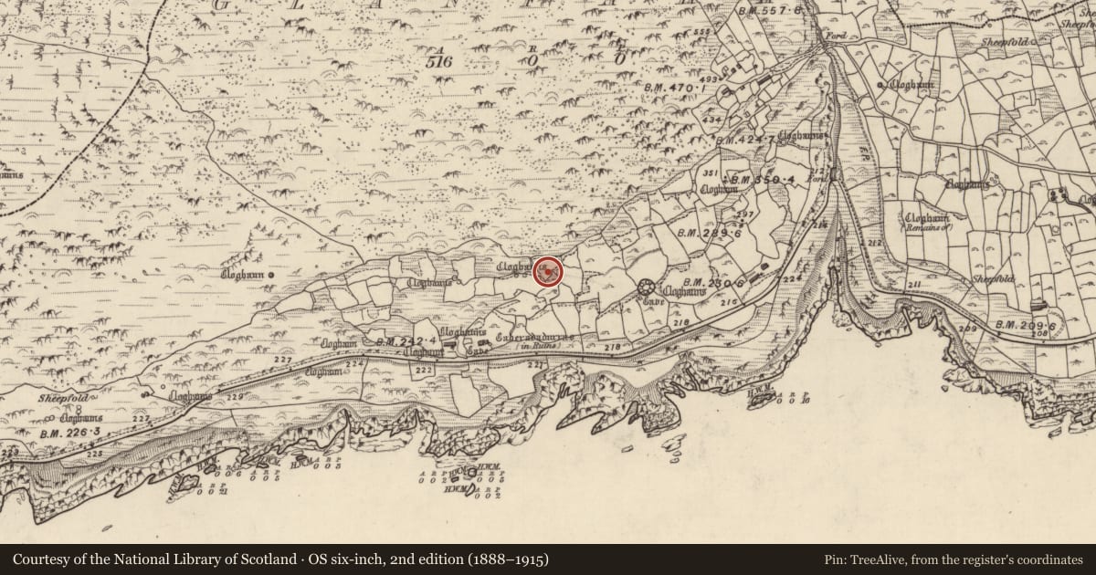 Ordnance Survey six-inch map, 2nd edition (1888–1915) covering the location of Hut site, Gleann Fán, County Kerry, with a pin at the register's coordinates