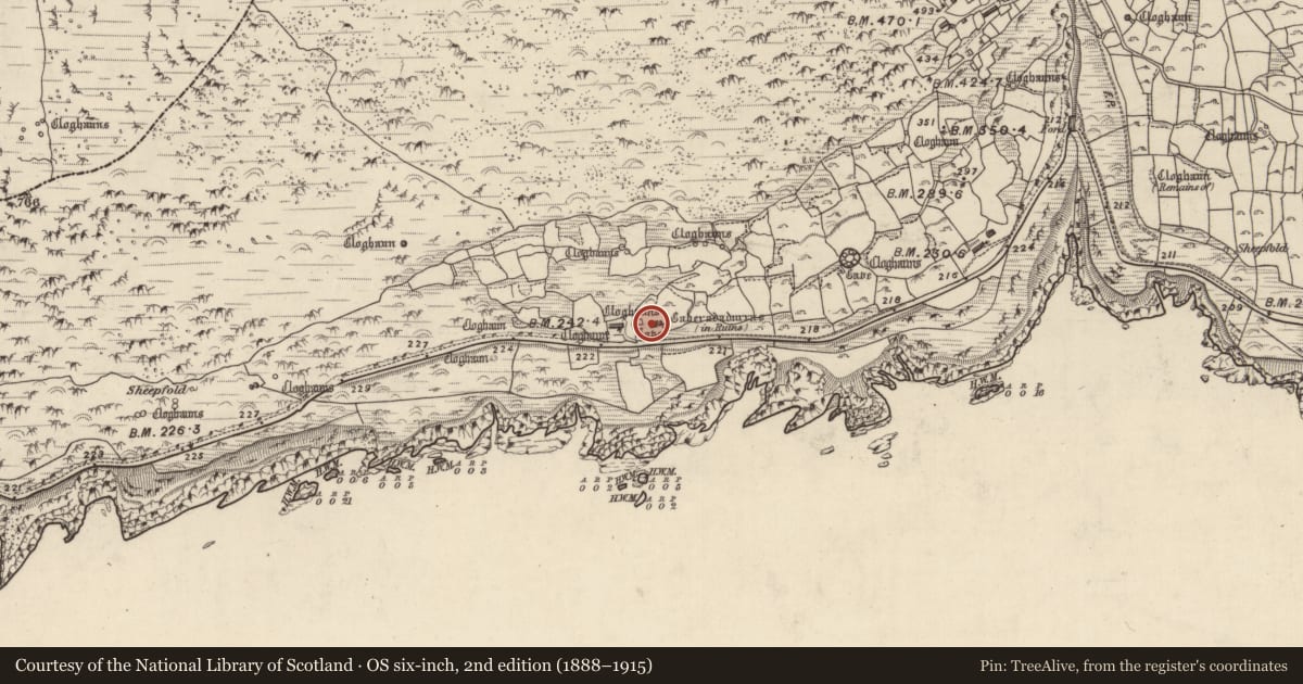 Ordnance Survey six-inch map, 2nd edition (1888–1915) covering the location of Clochan, Gleann Fán, County Kerry, with a pin at the register's coordinates