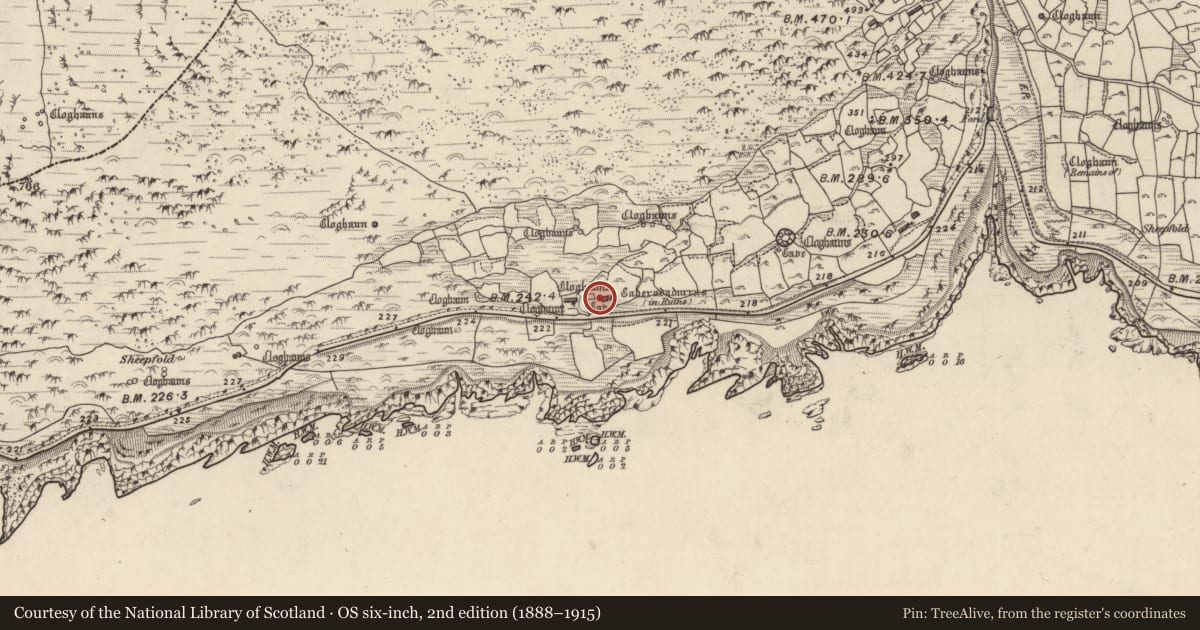 Ordnance Survey six-inch map, 2nd edition (1888–1915) covering the location of Clochan, Gleann Fán, County Kerry, with a pin at the register's coordinates