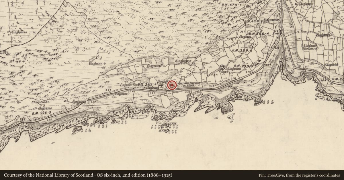 Ordnance Survey six-inch map, 2nd edition (1888–1915) covering the location of Clochan, Gleann Fán, County Kerry, with a pin at the register's coordinates
