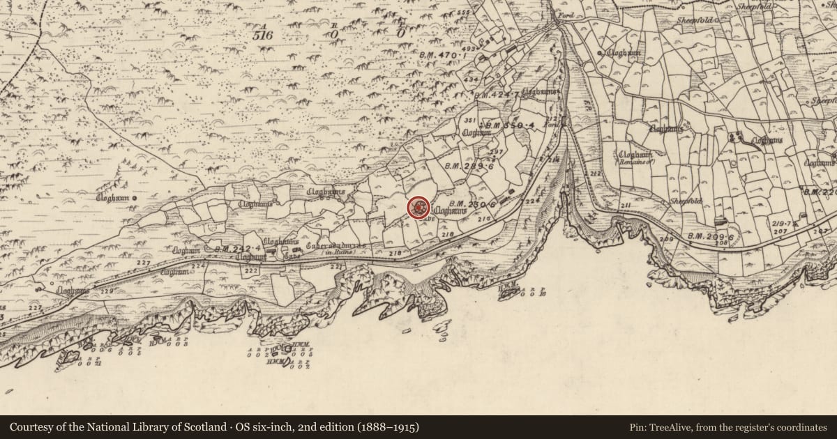 Ordnance Survey six-inch map, 2nd edition (1888–1915) covering the location of Ogham stone, Gleann Fán, County Kerry, with a pin at the register's coordinates
