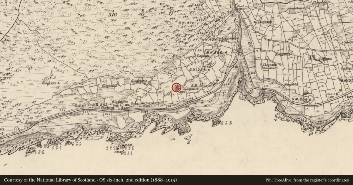 Ordnance Survey six-inch map, 2nd edition (1888–1915) covering the location of Clochan, Gleann Fán, County Kerry, with a pin at the register's coordinates