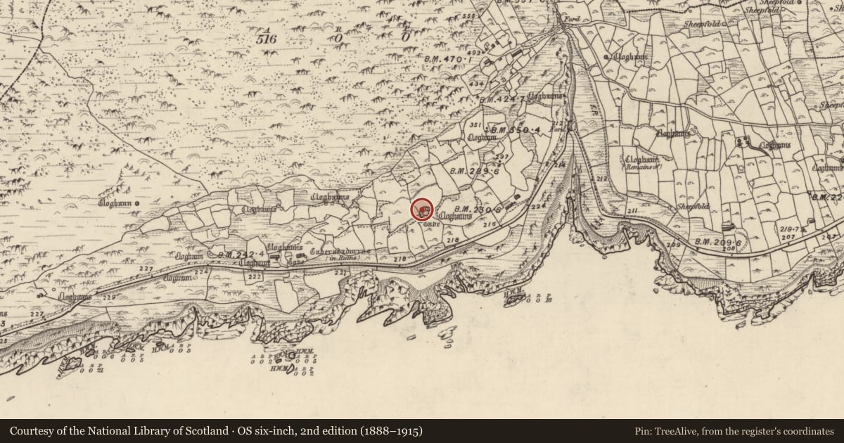 Ordnance Survey six-inch map, 2nd edition (1888–1915) covering the location of Clochan, Gleann Fán, County Kerry, with a pin at the register's coordinates