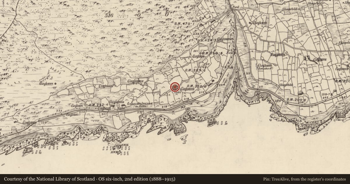 Ordnance Survey six-inch map, 2nd edition (1888–1915) covering the location of Clochan, Gleann Fán, County Kerry, with a pin at the register's coordinates