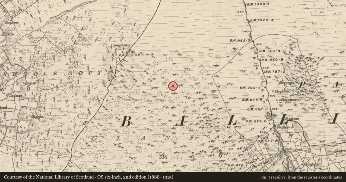 Ordnance Survey six-inch map, 2nd edition (1888–1915) covering the location of Clochan, Gleann Fán, County Kerry, with a pin at the register's coordinates