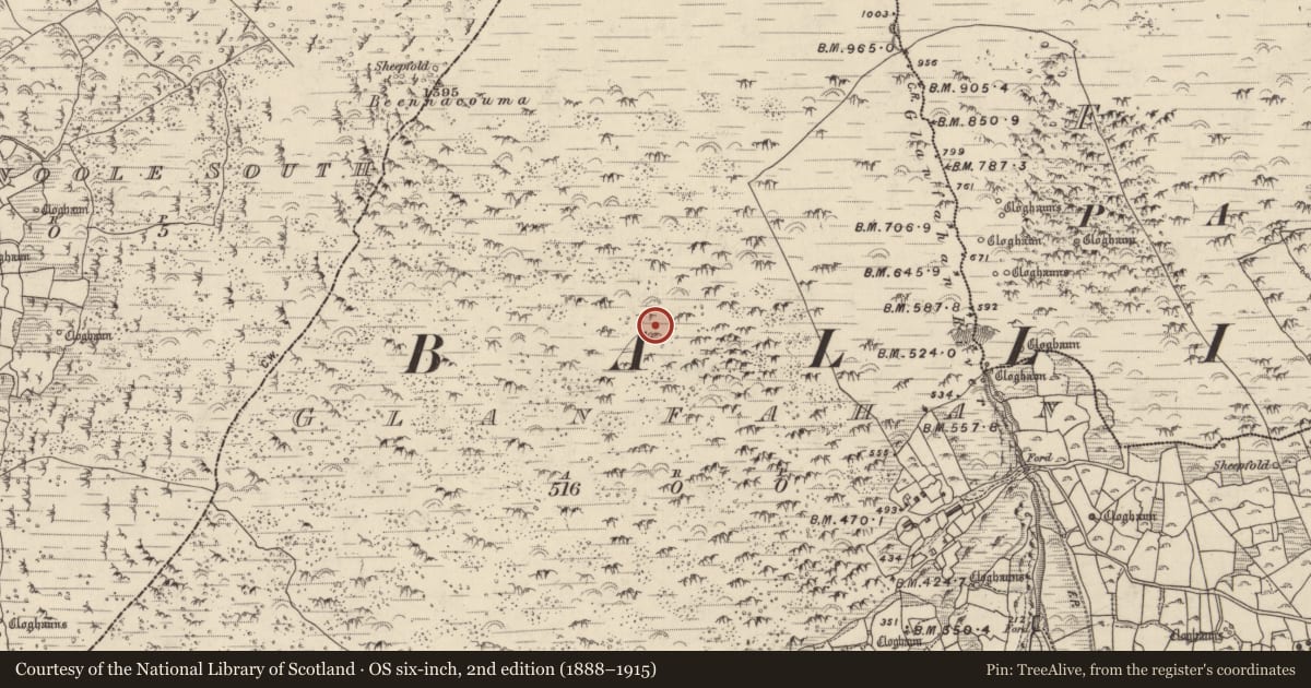 Ordnance Survey six-inch map, 2nd edition (1888–1915) covering the location of Clochan, Gleann Fán, County Kerry, with a pin at the register's coordinates