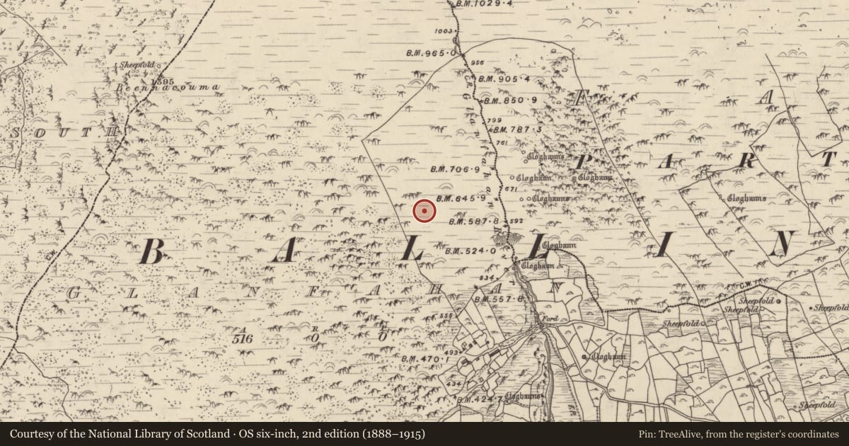 Ordnance Survey six-inch map, 2nd edition (1888–1915) covering the location of Hut site, Gleann Fán, County Kerry, with a pin at the register's coordinates