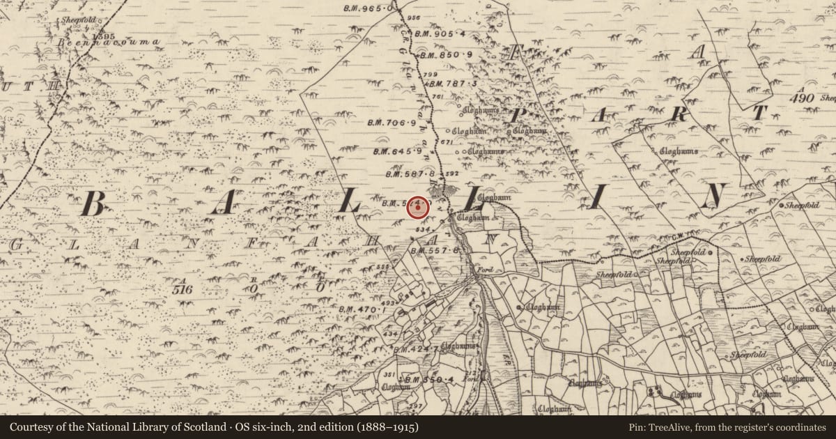 Ordnance Survey six-inch map, 2nd edition (1888–1915) covering the location of Clochan, Gleann Fán, County Kerry, with a pin at the register's coordinates