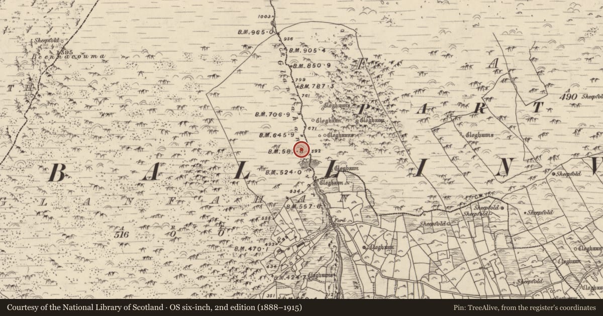 Ordnance Survey six-inch map, 2nd edition (1888–1915) covering the location of Hut site, Gleann Fán, County Kerry, with a pin at the register's coordinates