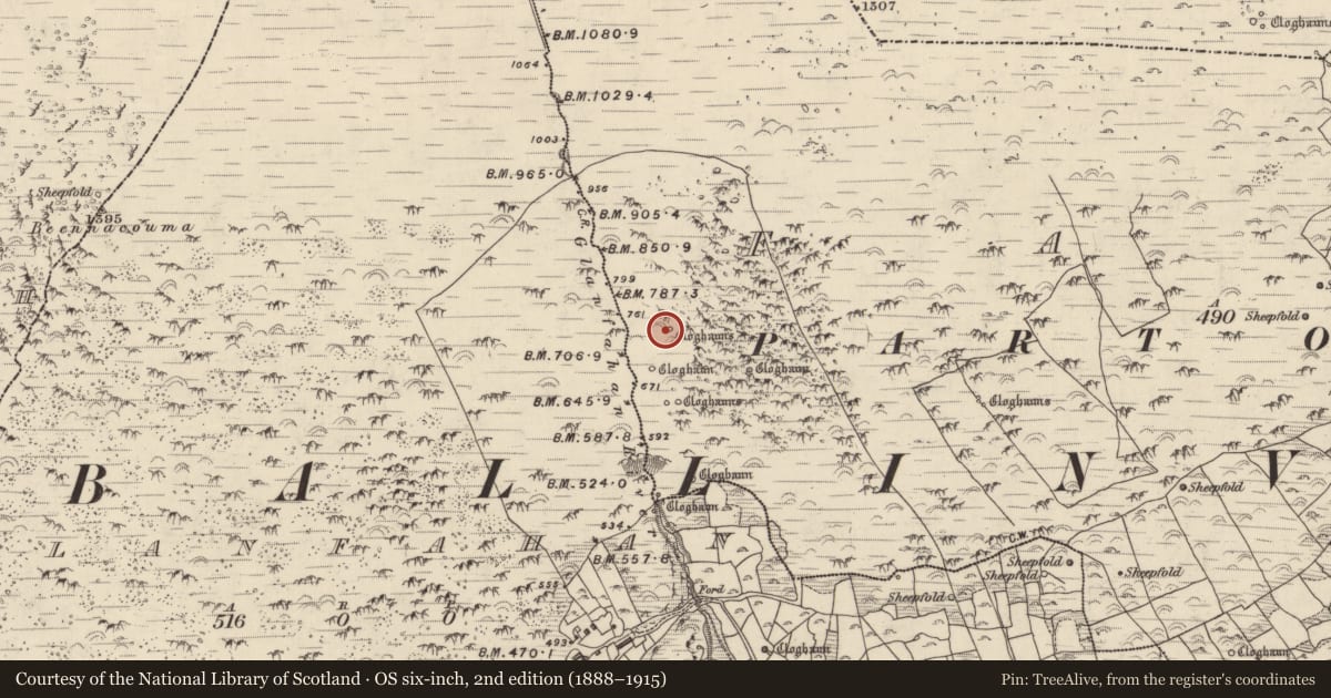 Ordnance Survey six-inch map, 2nd edition (1888–1915) covering the location of Hut site, Fán, County Kerry, with a pin at the register's coordinates