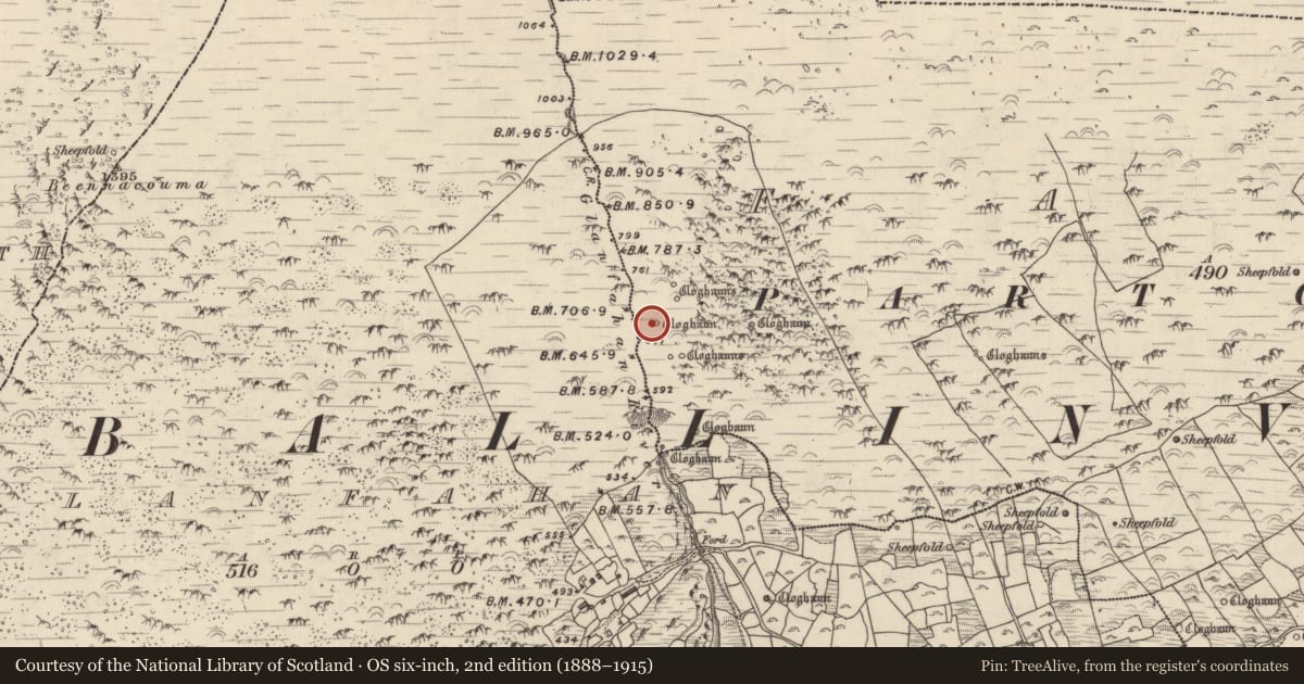 Ordnance Survey six-inch map, 2nd edition (1888–1915) covering the location of Hut site, Fán, County Kerry, with a pin at the register's coordinates