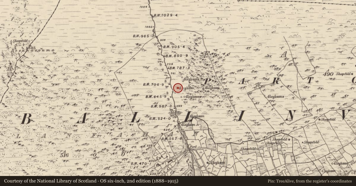 Ordnance Survey six-inch map, 2nd edition (1888–1915) covering the location of Hut site, Fán, County Kerry, with a pin at the register's coordinates
