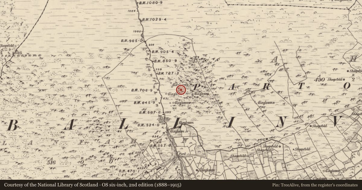 Ordnance Survey six-inch map, 2nd edition (1888–1915) covering the location of Hut site, Fán, County Kerry, with a pin at the register's coordinates
