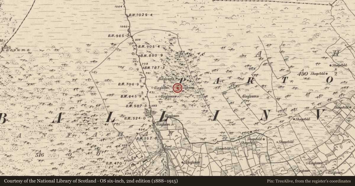 Ordnance Survey six-inch map, 2nd edition (1888–1915) covering the location of Hut site, Fán, County Kerry, with a pin at the register's coordinates