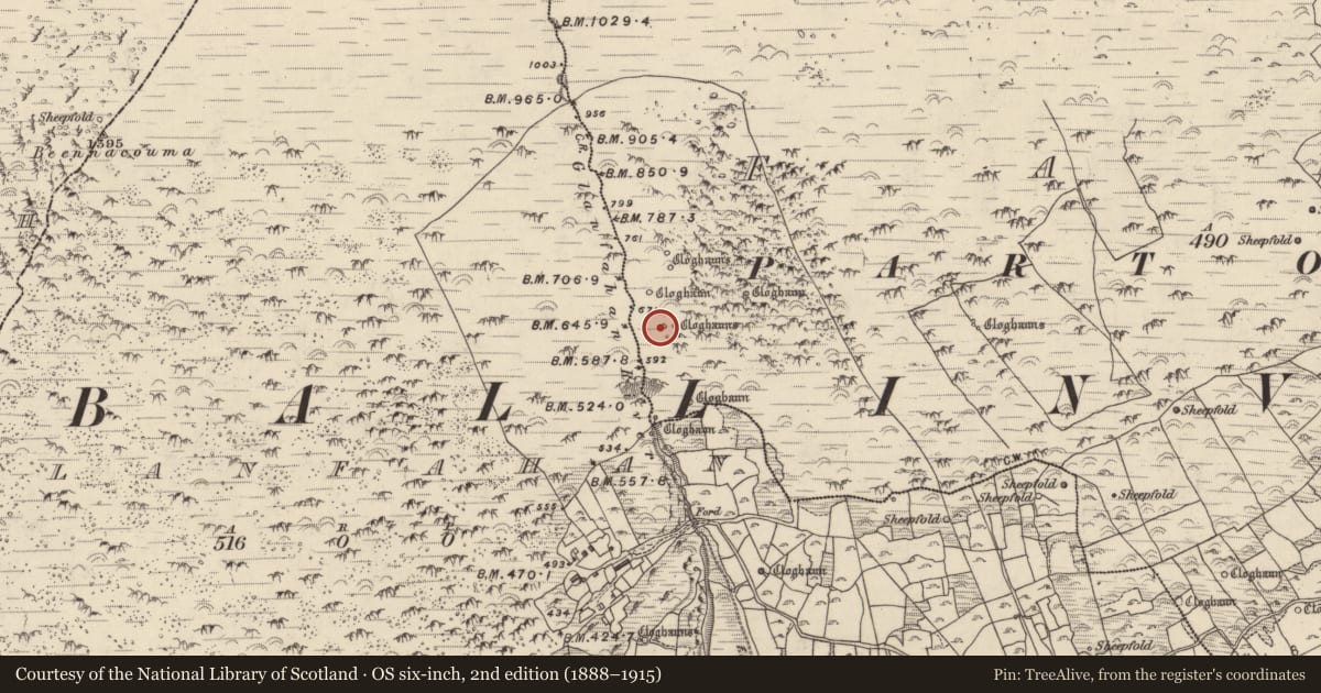 Ordnance Survey six-inch map, 2nd edition (1888–1915) covering the location of Hut site, Fán, County Kerry, with a pin at the register's coordinates